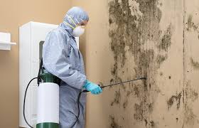 Best Comprehensive Air Testing for Mold Contaminants  in Ocean Springs, MS